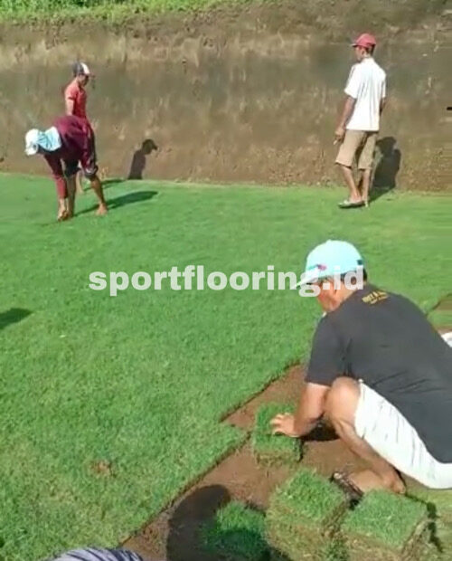 Rumput Lapangan Bola 5 Rumput-lapangan-bola-sportflooring.id